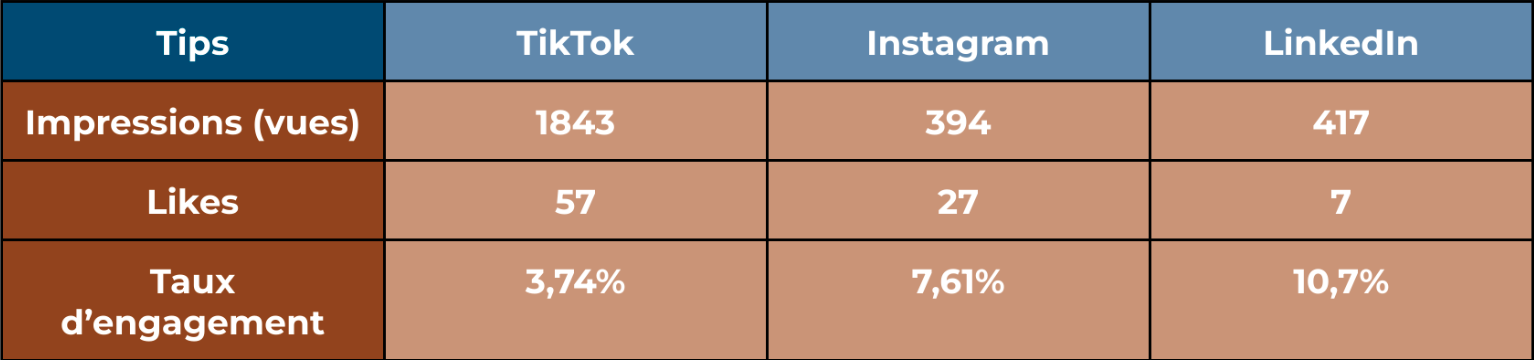 statistiques vidéo Tiktok Instagram LinkedIn