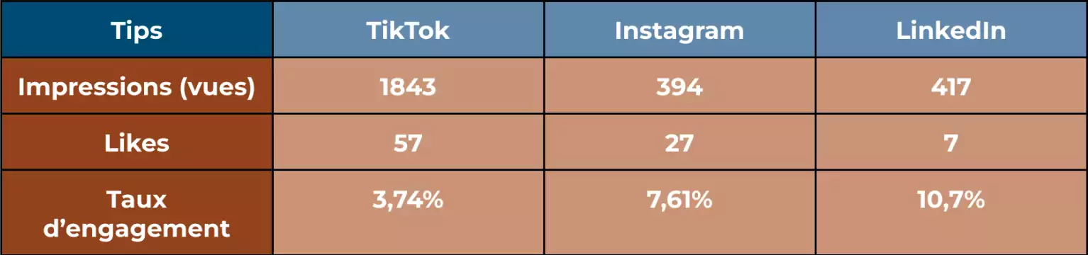 statistiques vidéo Tiktok Instagram LinkedIn