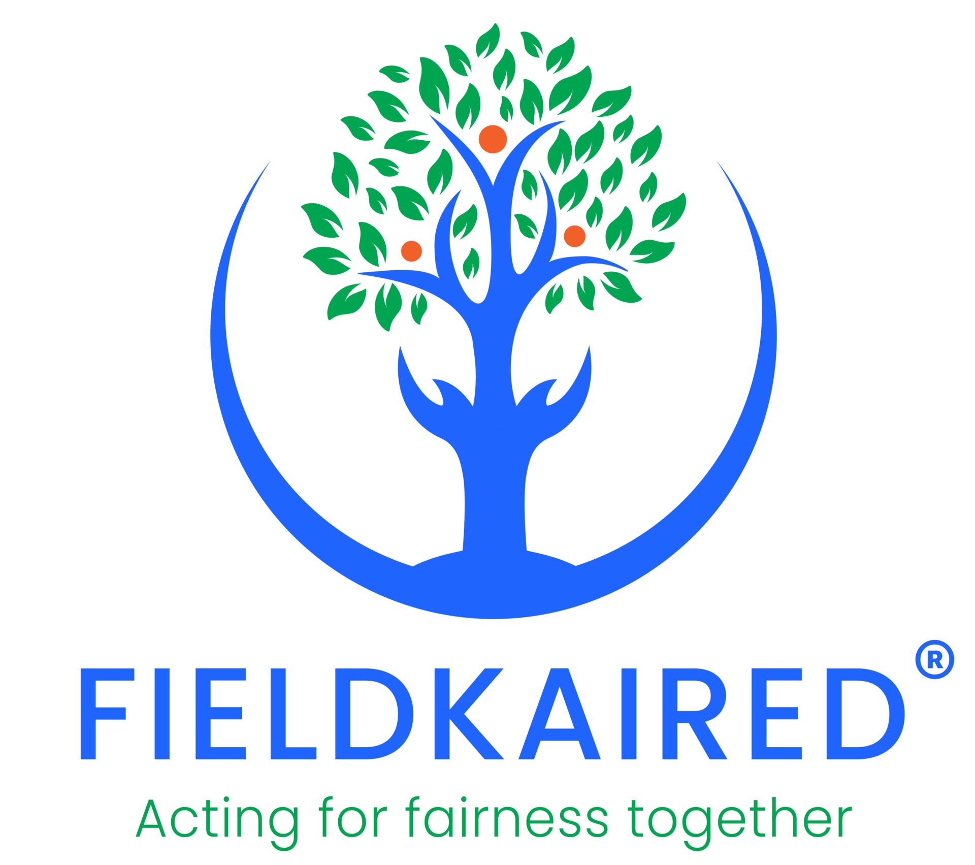 logo FIELDKAIRED